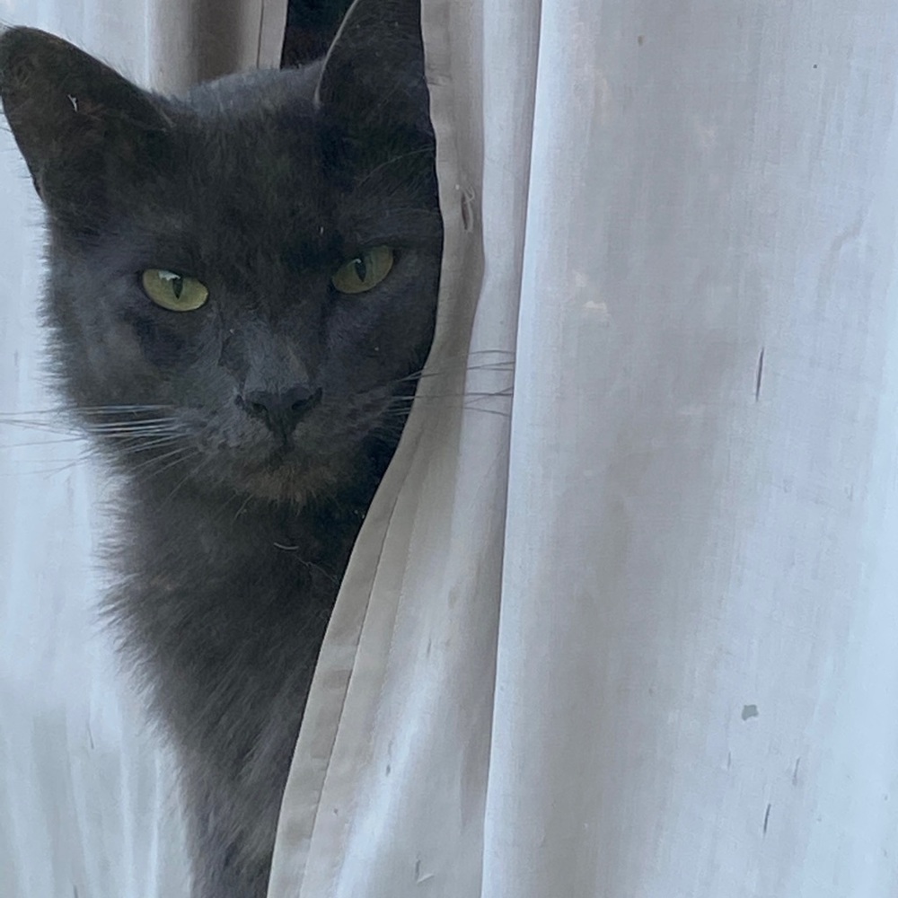 Meet your Posher, Thania